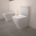 Унитаз моноблок Duravit DuraStyle 2155090000 + бачок 0935000085+ сиденье микролифт 0063790000
