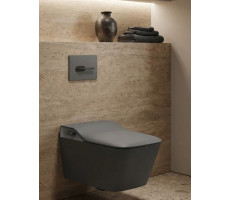 Унитаз подвесной Arrow AKB2130AG-2H Smart с функцией биде, цвет темно-серый