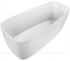 Акриловая ванна Aquanet Family Trend 170x78 90778 Gloss Finish 