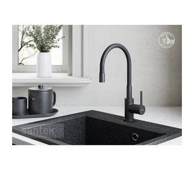 Смеситель для кухонной мойки Santek Тесио AZ-VQQ568330PA черный матовый