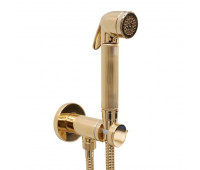 Гигиенический душ - комплект с прогрессивным смесителем Bossini Nikita E37008B.043 цвет золото шлифованное