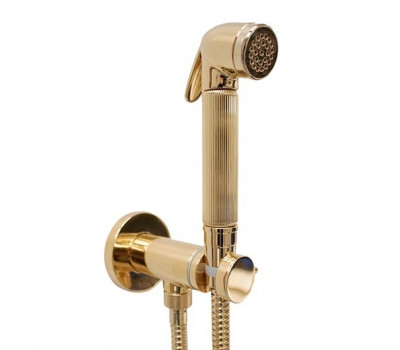 Гигиенический душ - комплект с прогрессивным смесителем Bossini Nikita E37008B.043 цвет золото шлифованное