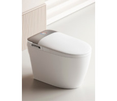 Унитаз напольный Ceruttispa ERSILIA Smart CT10616 с дистанционным управлением Унитаз напольный Ceruttispa ERSILIA Smart CT10616 с дистанционным управлением