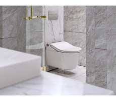 Комплект унитаза-биде с инсталляцией для управления смывом ToTo WASHLET RW аuto flush Комплект унитаза-биде с инсталляцией для управления смывом ToTo WASHLET RW аuto flush