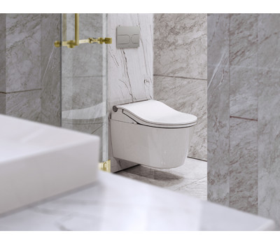 Комплект унитаза-биде с инсталляцией для управления смывом ToTo WASHLET RW аuto flush