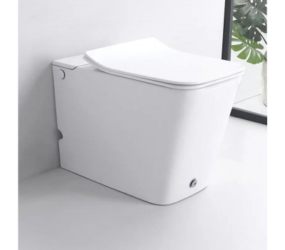 Унитаз приставной импульсный Ceruttispa Disgrazia Pulse CT7269 безободковый