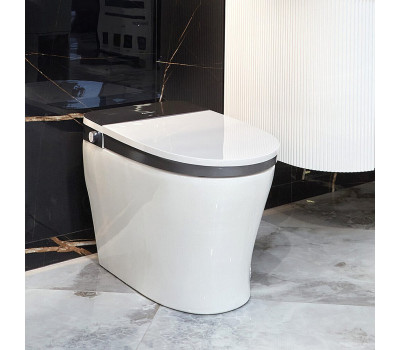 Унитаз-биде электронный Panasonic CH2711 белый 