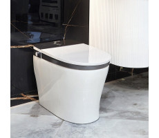 Унитаз-биде электронный Panasonic CH2711 белый 