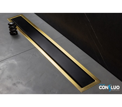 Душевой лоток Pestan Confluo Premium Line 300 Black Glass Gold  13100113 Хром матовый/черное стекло глянец, рамка золото 