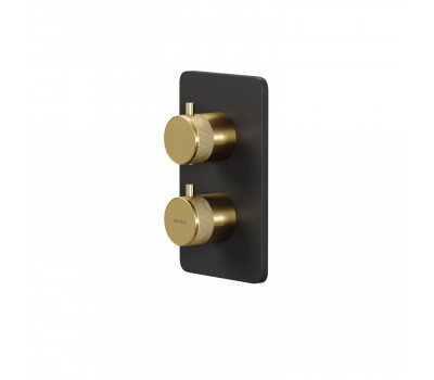 Смеситель для ванны Allen Brau Priority 5.31213-31GB (с внутренней частью, 2 выхода) черный/золото Смеситель для ванны Allen Brau Priority 5.31213-31GB (с внутренней частью, 2 выхода) черный/золото