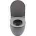 Унитаз подвесной Allen Brau Reality 4.32015.SG серый матовый 
