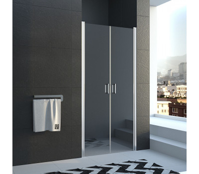 Душевая дверь VN-44 Veconi VN44-100-01-19C1 