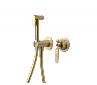 Гигиенический душ (комплект) Bronze de Luxe 1760'S LOFT 3253CG матовое золото 