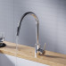 Смеситель для кухни с вытяжным изливом Dorff Logic D3007500 Хром 