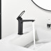 Смеситель для раковины Black&White GF-7109-MB 