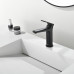 Смеситель для раковины Black&White GF-7109-MB 