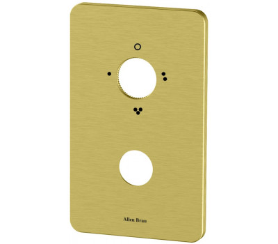 Накладка для смесителя Allen Brau Priority 5.3UХ3Х-GB 3 хода, золото браш 