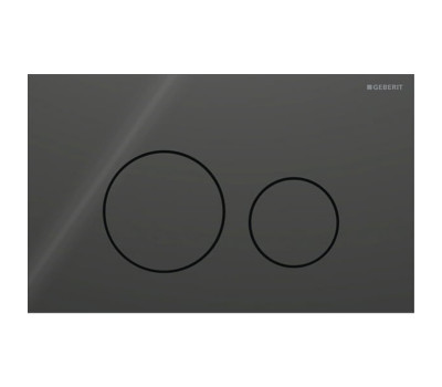 Клавиши смыва Geberit Sigma 115.628.SJ.1 Черный 