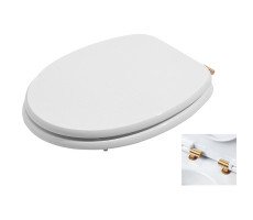Сиденье для унитаза Azzurra CHARME CHA1800/F bi/oro золото