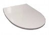 Крышка для чаши Roca Victoria Nord Soft Close, тонкая ZRU9302919 Крышка для чаши Roca Victoria Nord Soft Close, тонкая ZRU9302919