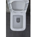 Унитаз с инсталляцией Allen Brau Infinity 306274+301326+301327 