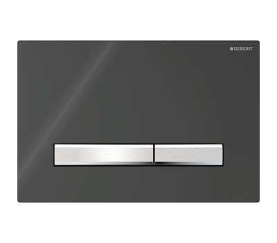 Клавиши смыва Geberit Sigma 115.788.DW.2 Черный Клавиши смыва Geberit Sigma 115.788.DW.2 Черный