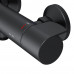 Смеситель для душа с термостатом AM.PM X-Joy F85A40022 Черный 