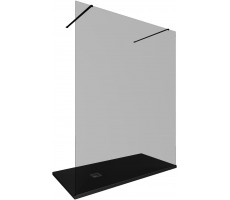 Душевая перегородка Allen Brau Infinity 2 160 3.21058.BBA.T черный браш 