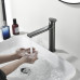 Смеситель для раковины Black&White GF-7307-GM 