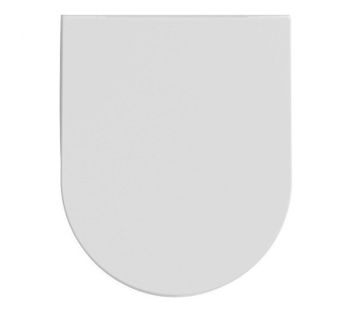 Сиденье для унитаза ISVEA Infinity F50 40KF0201I-S цвет белый матовый 