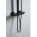 Душевая стойка Allen Brau Infinity 5.21030-31 черный матовый 