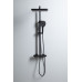 Душевая стойка Allen Brau Infinity 5.21030-31 черный матовый 
