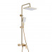 Душевая система Shevanik S4226G, золотой сатин