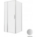 Душевой уголок Allen Brau Priority 90x90 3.31026.BA + 3.31044.BA серебро браш 