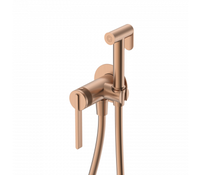 Гигиенический душ DQ Bonn встраиваемый DA1704533 