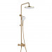 Душевая система Shevanik S4336G, золотой сатин