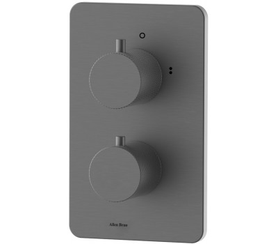 Смеситель для ванны Allen Brau Priority 5.3U123-MG (с внутренней частью, 3 выхода) графит браш 