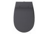 Сиденье для унитаза ISVEA Sentimenti Neo 40D40522I-S цвет антрацит матовый 