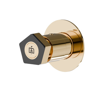 Смеситель для душа термостат Newform ParkLE 69806E.62.093 Золото 