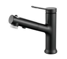 Смеситель для раковины многофункциональный Raffine F281H, черный