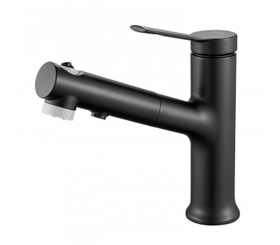 Смеситель для раковины многофункциональный Raffine F281H, черный