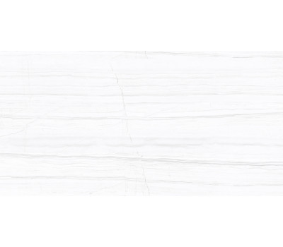 Плитка керамогранитная AZARIO SALENT GREY 60х120 Glossy F2070821120G 