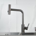 Смеситель для кухни с мультифункциональным изливом Raffine F203T, оружейная сталь