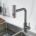 Смеситель для кухни с мультифункциональным изливом Raffine F203T, оружейная сталь