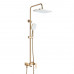 Душевая система Shevanik S4136G, золотой сатин