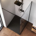 Душевая перегородка 100x200 см AM.PM Func W84WI-100-F1-BTE  