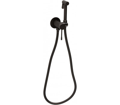 Смеситель с гигиеническим душем Priority 4.0 Allen Brau 5.31С29-MG (с внутренней частью) графит браш 