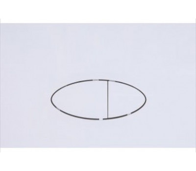 Кнопка смыва LOGAN OVAL двойная, White 297677  Кнопка смыва LOGAN OVAL двойная, White 297677
