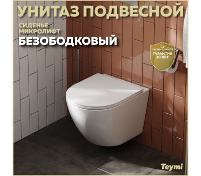 Унитаз подвесной безободковый с быстросъемным сиденьем микролифт Teymi Lina S T40102 