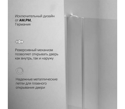 Душевая дверь в нишу 120x190 см, распашная AM.PM Sunny W87G-120-1P-MT  